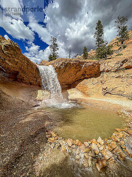 Ein Wasserfall  der durch den Mossy Cave Trail im Bryce-Canyon-Nationalpark  Utah  Vereinigte Staaten von Amerika  Nordamerika fließt