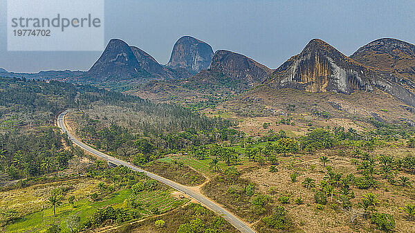 Conda  Kumbira Forest Reserve  Kwanza Sul  Angola  Afrika