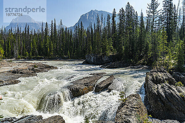 Natural Bridge Lower Falls  Yoho-Nationalpark  UNESCO-Weltkulturerbe  British Columbia  Kanada  Nordamerika