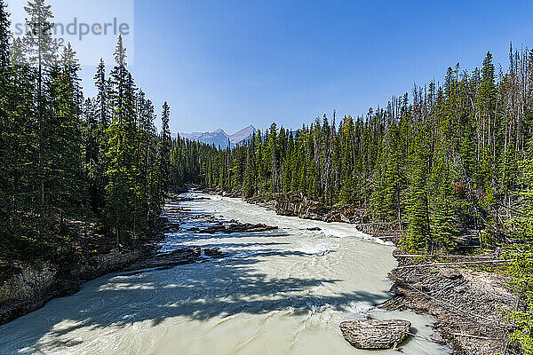 Natural Bridge Lower Falls  Yoho-Nationalpark  UNESCO-Weltkulturerbe  British Columbia  Kanada  Nordamerika