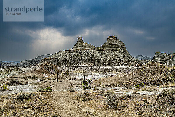 Erodierte Landschaft im Dinosaur Provincial Park  UNESCO-Weltkulturerbe  Alberta  Kanada  Nordamerika