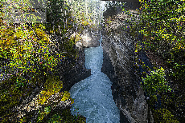 Athabasca Falls bei Sonnenaufgang  Glacier Parkway  Jasper Nationalpark  UNESCO-Weltkulturerbe  Alberta  Kanadische Rocky Mountains  Kanada  Nordamerika