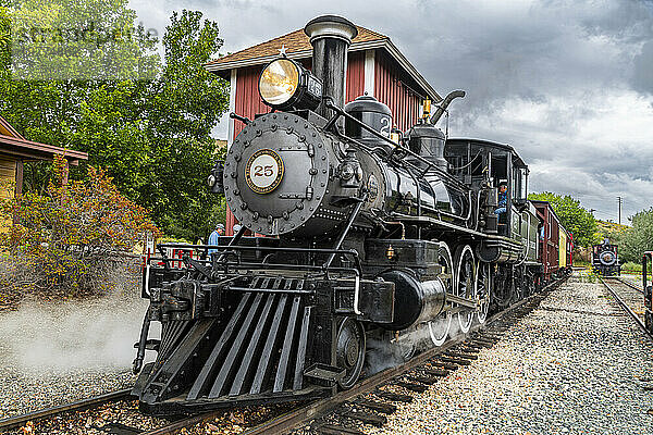 Dampfzug im Nevada State Railroad Museum  Carson City  Nevada  Vereinigte Staaten von Amerika  Nordamerika