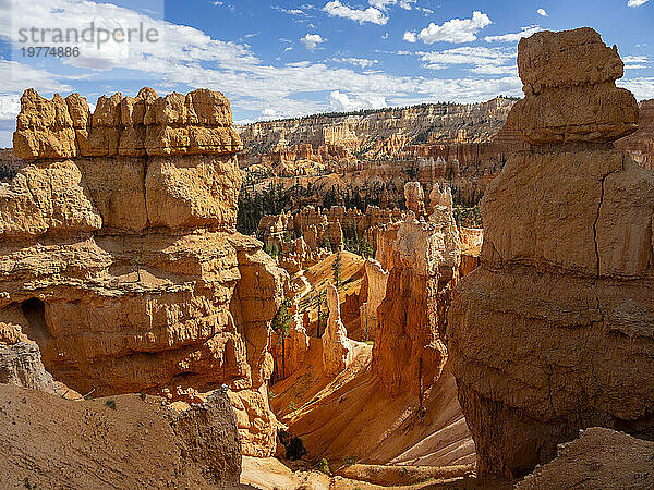 Rote Felsformationen  bekannt als Hoodoos  im Bryce-Canyon-Nationalpark  Utah  Vereinigte Staaten von Amerika  Nordamerika