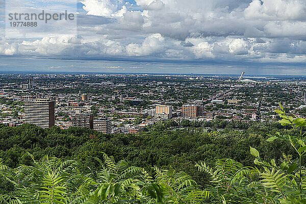 Blick über Montreal vom Mont Royal  Montreal  Quebec  Kanada  Nordamerika