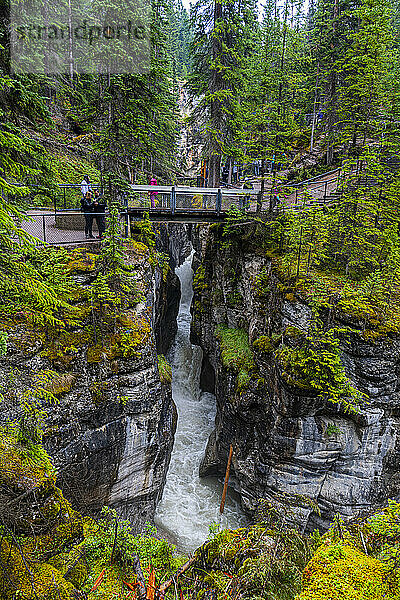 Maligne Canyon  Jasper Nationalpark  UNESCO-Weltkulturerbe  Alberta  Kanadische Rocky Mountains  Kanada  Nordamerika