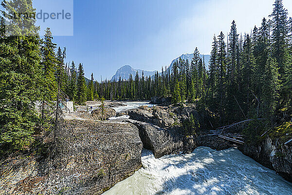 Natural Bridge Lower Falls  Yoho-Nationalpark  UNESCO-Weltkulturerbe  British Columbia  Kanada  Nordamerika