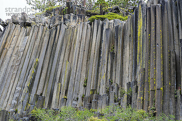 Felsformation aus säulenförmigem Basalt  Devils Postpile National Monument  Mammoth Mountain  Kalifornien  Vereinigte Staaten von Amerika  Nordamerika