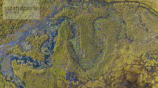 Luftaufnahme der Mundolola-Lagune  Moxico  Angola  Afrika