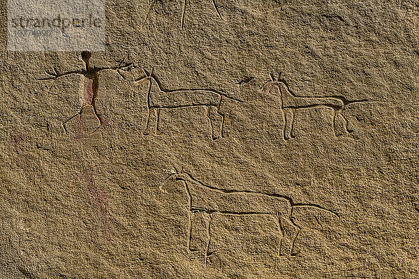 Indische Felszeichnungen  Writing-on-Stone Provincial Park  UNESCO-Weltkulturerbe  Alberta  Kanada  Nordamerika