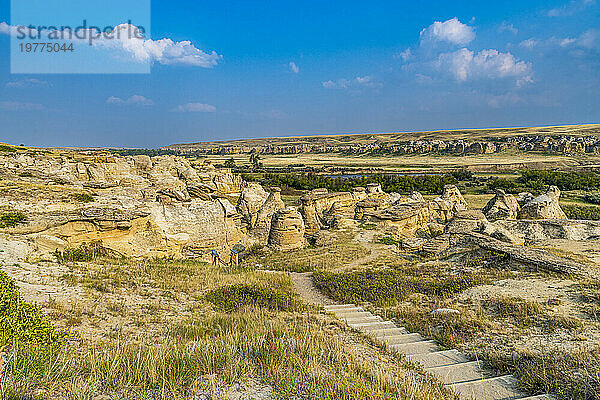 Hoodoos entlang des Milk River  Writing-on-Stone Provincial Park  UNESCO-Weltkulturerbe  Alberta  Kanada  Nordamerika