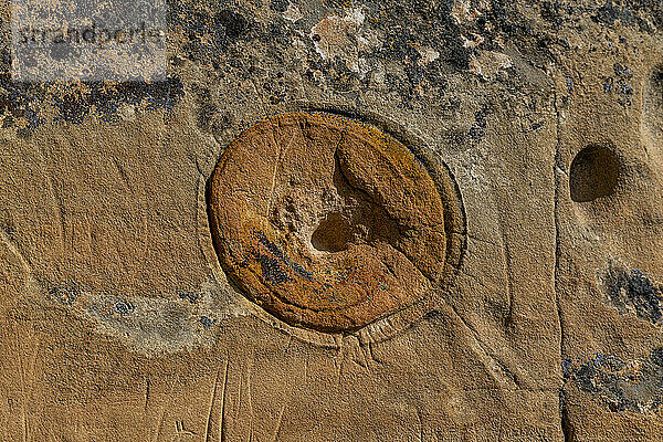 Indische Felszeichnungen  Writing-on-Stone Provincial Park  UNESCO-Weltkulturerbe  Alberta  Kanada  Nordamerika