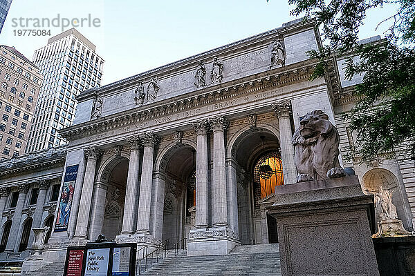 Architektonisches Detail der New York Public Library (NYPL)  zweitgrößte in den USA und viertgrößte der Welt  New York City  Vereinigte Staaten von Amerika  Nordamerika