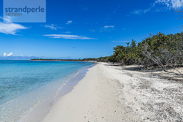 Weißer Sandstrand im Parque Nacional Marino de Punta Frances Punta Pedernales  Isla de la Juventud (Insel der Jugend)  Kuba  Westindische Inseln  Mittelamerika