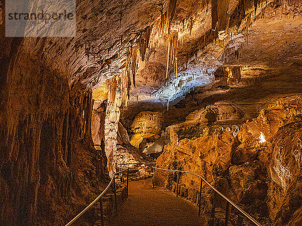 Stalaktiten in der Haupthöhle im Carlsbad Caverns National Park  UNESCO-Weltkulturerbe  in den Guadalupe Mountains  New Mexico  Vereinigte Staaten von Amerika  Nordamerika