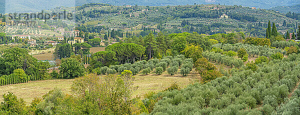 Blick auf die toskanische Landschaft vom Passeggio del Prato  Arezzo  Provinz Arezzo  Toskana  Italien  Europa