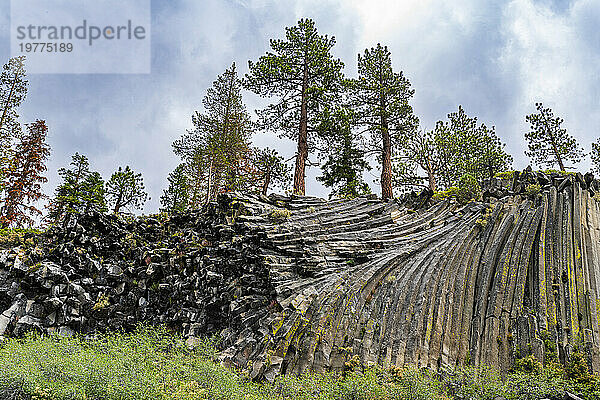 Felsformation aus säulenförmigem Basalt  Devils Postpile National Monument  Mammoth Mountain  Kalifornien  Vereinigte Staaten von Amerika  Nordamerika