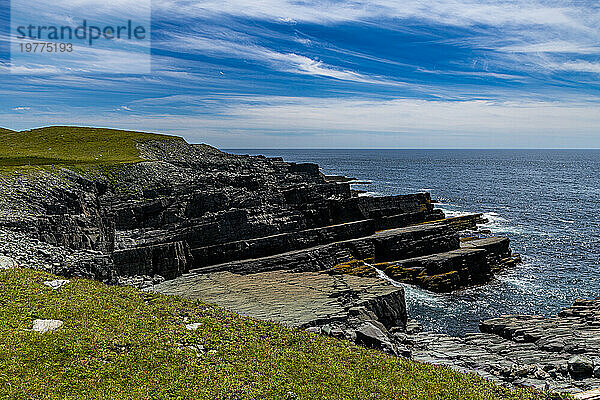 Präkambrische Fossilien  Mistaken Point  UNESCO-Weltkulturerbe  Halbinsel Avalon  Neufundland  Kanada  Nordamerika