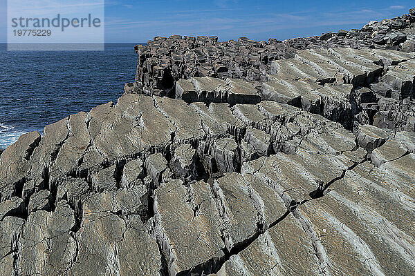 Präkambrische Fossilien  Mistaken Point  UNESCO-Weltkulturerbe  Halbinsel Avalon  Neufundland  Kanada  Nordamerika