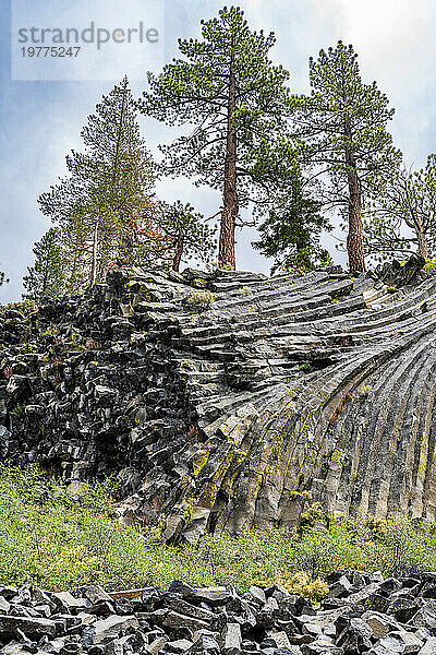 Felsformation aus säulenförmigem Basalt  Devils Postpile National Monument  Mammoth Mountain  Kalifornien  Vereinigte Staaten von Amerika  Nordamerika