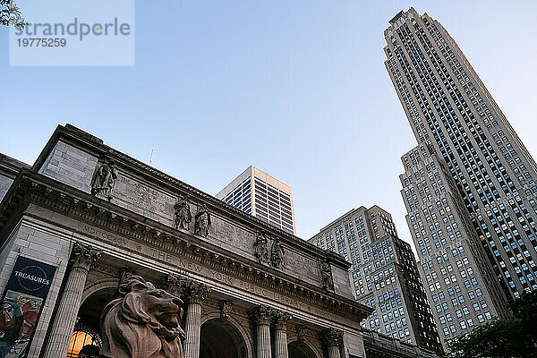 Architektonisches Detail der New York Public Library (NYPL)  zweitgrößte in den USA und viertgrößte der Welt  New York City  Vereinigte Staaten von Amerika  Nordamerika