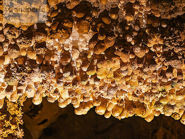 Popcorn in der Haupthöhle im Carlsbad Caverns National Park  UNESCO-Weltkulturerbe  in den Guadalupe Mountains  New Mexico  Vereinigte Staaten von Amerika  Nordamerika