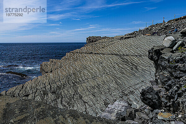 Präkambrische Fossilien  Mistaken Point  UNESCO-Weltkulturerbe  Halbinsel Avalon  Neufundland  Kanada  Nordamerika