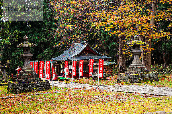 Blick auf einen japanischen Tempel  Steinlaternen in einem herbstlichen Wald  den Mount Iwaki-Schrein  in der Nähe von Hirosaki  Nord-Honshu  Japan  Asien