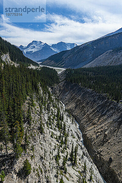 View into the valley from the Columbia Icefield Skywalk  Glacier Parkway  Alberta  Canada  North America
