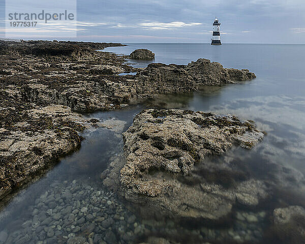 Felsen und Trwyn Du Lighthouse im Morgengrauen  Penmon Point  Anglesey  Wales  Vereinigtes Königreich  Europa