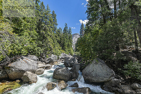 Merced River  Yosemite-Nationalpark  UNESCO-Weltkulturerbe  Kalifornien  Vereinigte Staaten von Amerika  Nordamerika