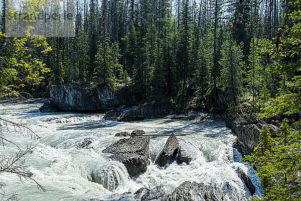 Natural Bridge Lower Falls  Yoho-Nationalpark  UNESCO-Weltkulturerbe  British Columbia  Kanada  Nordamerika