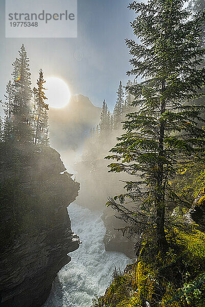 Athabasca Falls bei Sonnenaufgang  Glacier Parkway  Jasper Nationalpark  UNESCO-Weltkulturerbe  Alberta  Kanadische Rocky Mountains  Kanada  Nordamerika