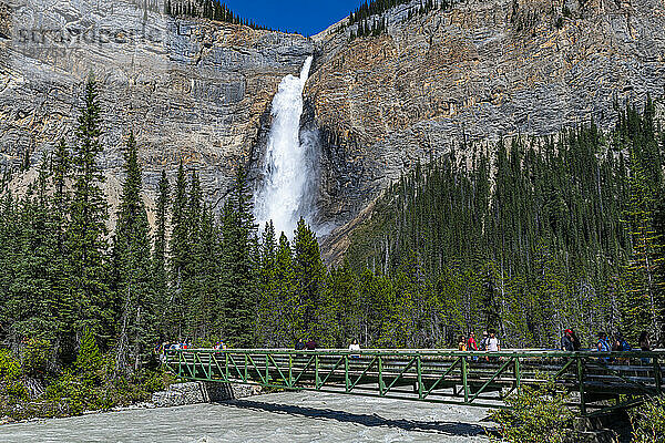 Takakkaw Falls  der zweithöchste Wasserfall Kanadas  Yoho-Nationalpark  UNESCO-Weltkulturerbe  British Columbia  Kanada  Nordamerika