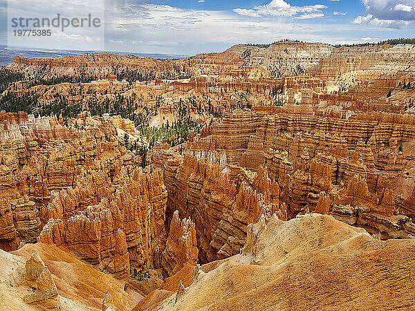 Rote Felsformationen  bekannt als Hoodoos  im Bryce-Canyon-Nationalpark  Utah  Vereinigte Staaten von Amerika  Nordamerika