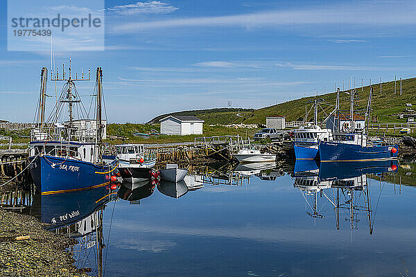 Hafen von Ferryland  Halbinsel Avalon  Neufundland  Kanada  Nordamerika