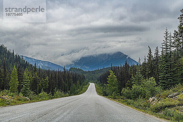 Straße durch den Jasper-Nationalpark  UNESCO-Weltkulturerbe  Alberta  Kanadische Rocky Mountains  Kanada  Nordamerika