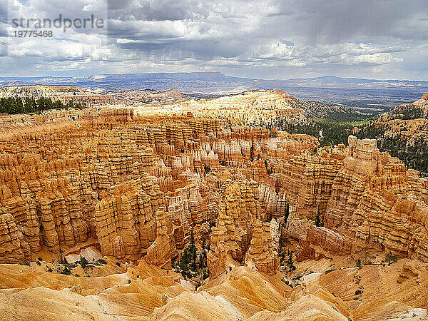 Rote Felsformationen  bekannt als Hoodoos  im Bryce-Canyon-Nationalpark  Utah  Vereinigte Staaten von Amerika  Nordamerika