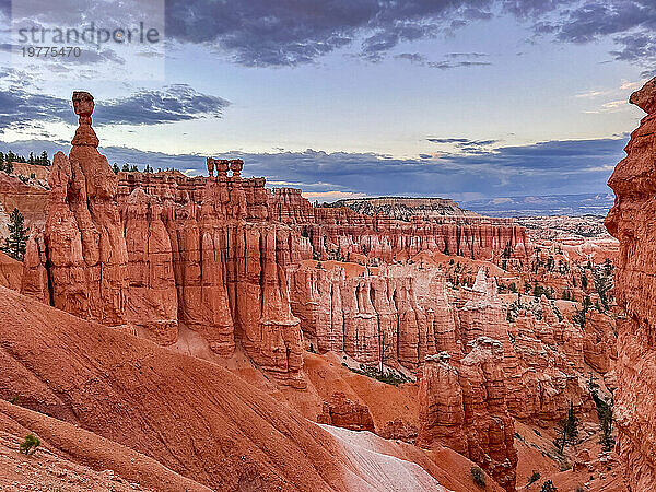 Red Rock Hoodoos im Bryce-Canyon-Nationalpark  Utah  Vereinigte Staaten von Amerika  Nordamerika