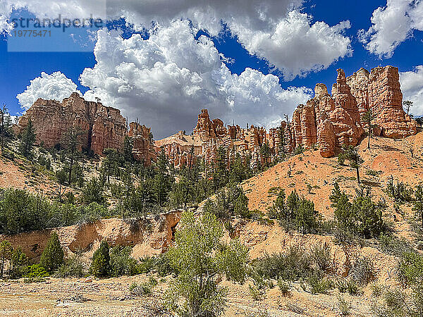 Ein Blick vom Mossy Cave Trail auf rote Felsen und Hoodoos  Bryce-Canyon-Nationalpark  Utah  Vereinigte Staaten von Amerika  Nordamerika