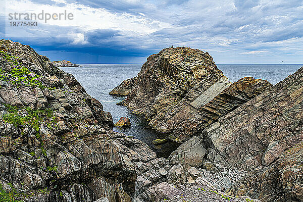 Tektonische Plattenfelsen  Halbinsel Bonavista  Neufundland  Kanada  Nordamerika