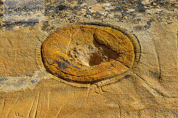 Indische Felszeichnungen  Writing-on-Stone Provincial Park  UNESCO-Weltkulturerbe  Alberta  Kanada  Nordamerika