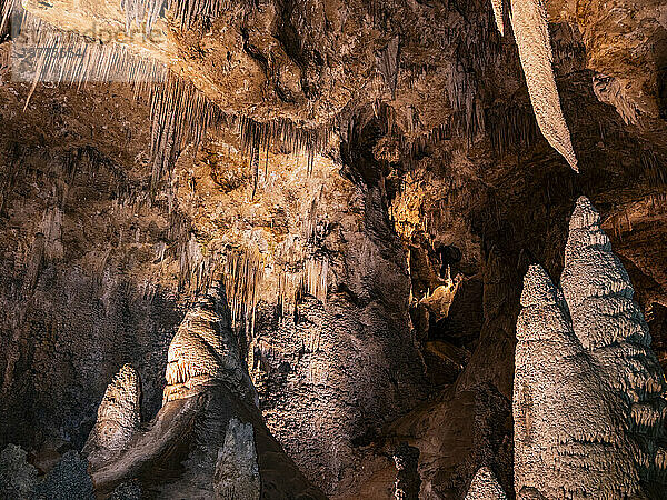 Im Big Room im Carlsbad Caverns National Park  UNESCO-Weltkulturerbe  in den Guadalupe Mountains  New Mexico  Vereinigte Staaten von Amerika  Nordamerika