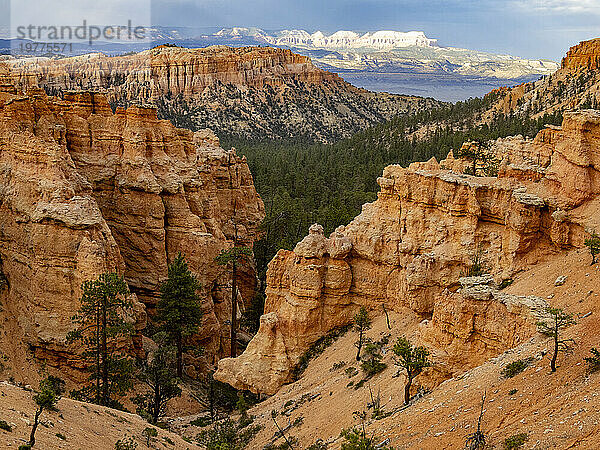 Rote Felsformationen  bekannt als Hoodoos  im Bryce-Canyon-Nationalpark  Utah  Vereinigte Staaten von Amerika  Nordamerika