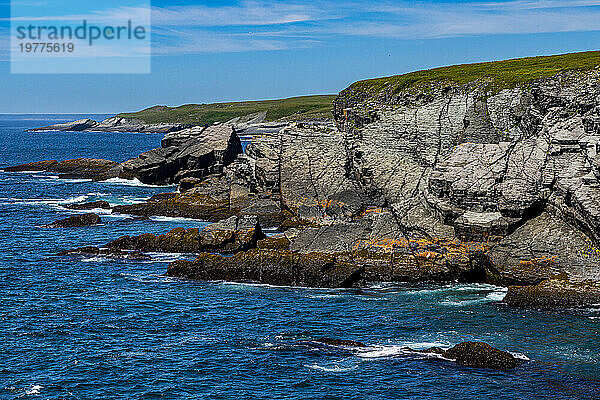 Wildnisgebiet  Mistaken Point  UNESCO-Weltkulturerbe  Halbinsel Avalon  Neufundland  Kanada  Nordamerika