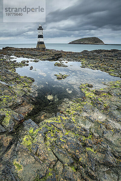 Trwyn Du Leuchtturm  Penmon Point  Anglesey  Wales  Vereinigtes Königreich  Europa