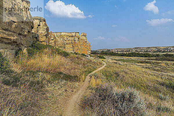 Hoodoos entlang des Milk River  Writing-on-Stone Provincial Park  UNESCO-Weltkulturerbe  Alberta  Kanada  Nordamerika