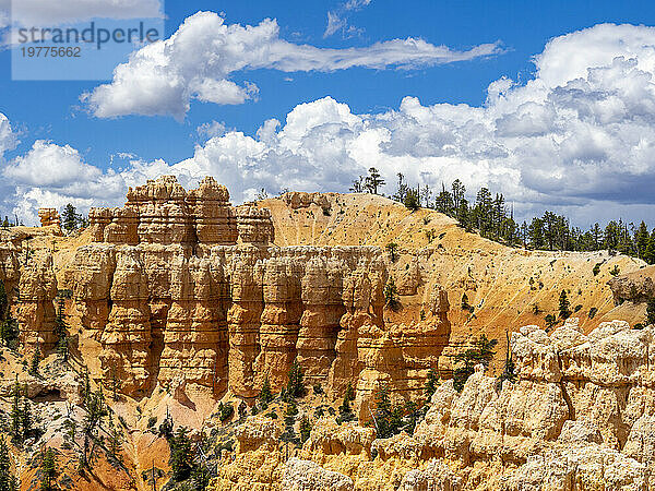 Rote Felsformationen  bekannt als Hoodoos  im Bryce-Canyon-Nationalpark  Utah  Vereinigte Staaten von Amerika  Nordamerika