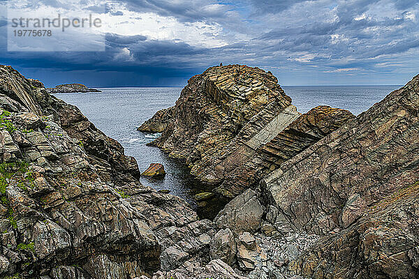 Tectonic plate rocks  Bonavista Peninsula  Newfoundland  Canada  North America