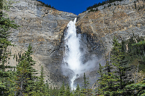 Takakkaw Falls  der zweithöchste Wasserfall Kanadas  Yoho-Nationalpark  UNESCO-Weltkulturerbe  British Columbia  Kanada  Nordamerika